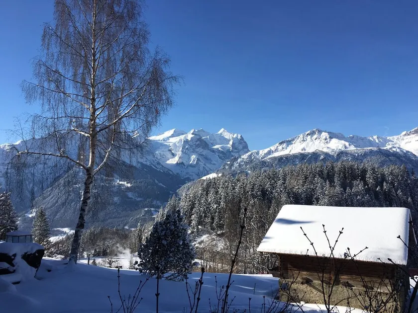 Chalet Wetterhorn 2.5 room apartment - Image 1