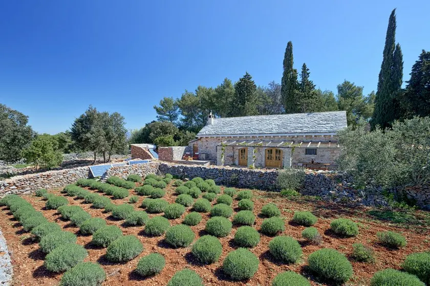 Villa Humac Hvar - Image 1