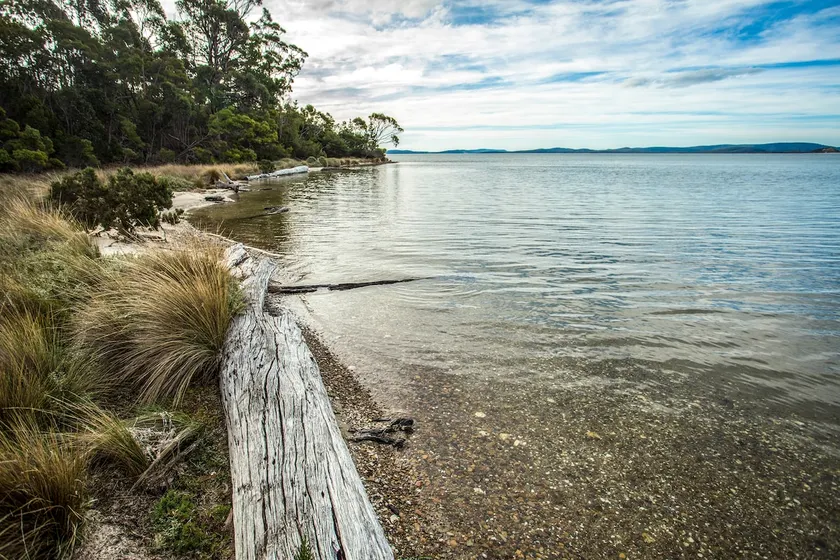 Saltair Cabin-Waterfront getaway with beach access - Image 1