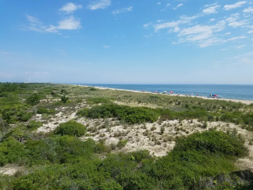 Family-Friendly Retreat at Quiet Delaware Beach - Image 1