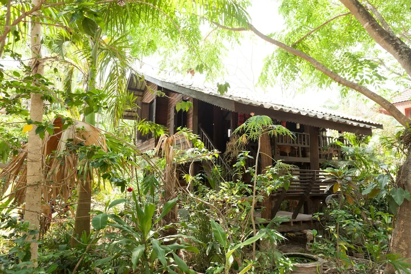 guest house in the trees - Image 1