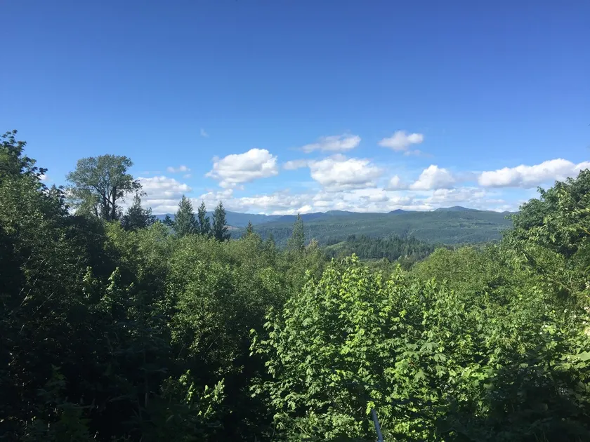 Cedar Getaway - Image 1