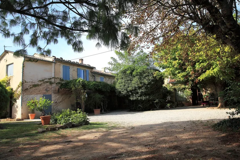 Saint Roch - Image 1