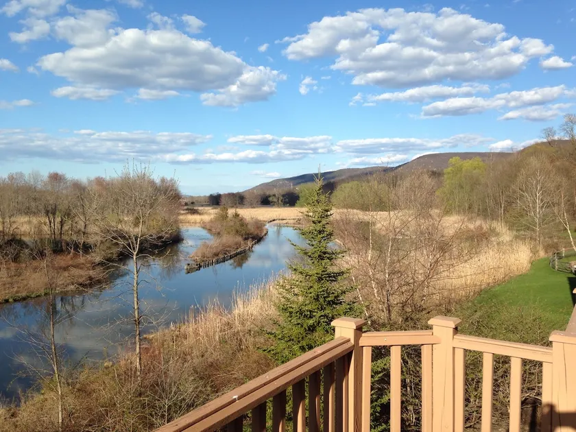 Black Creek Sanctuary Retreat - Image 1