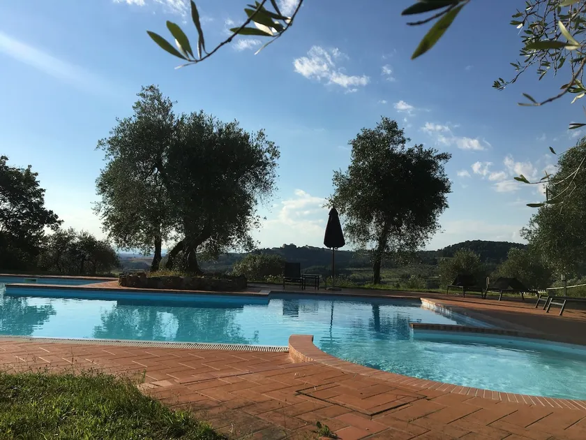Cercis - La Palmierina - Image 1