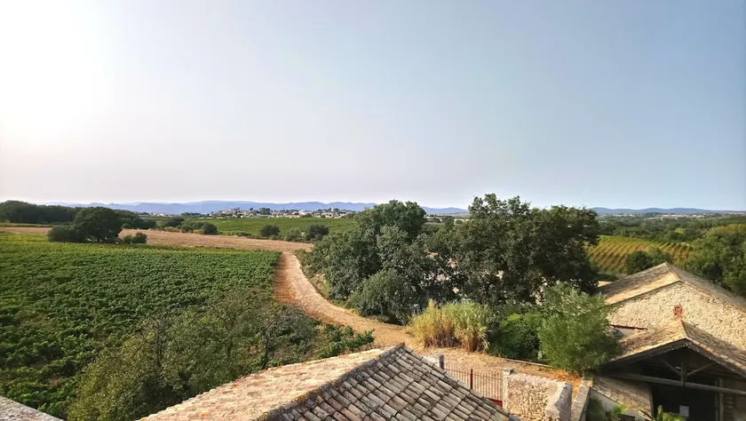 Domaine Sainte Suzanne - Image 1