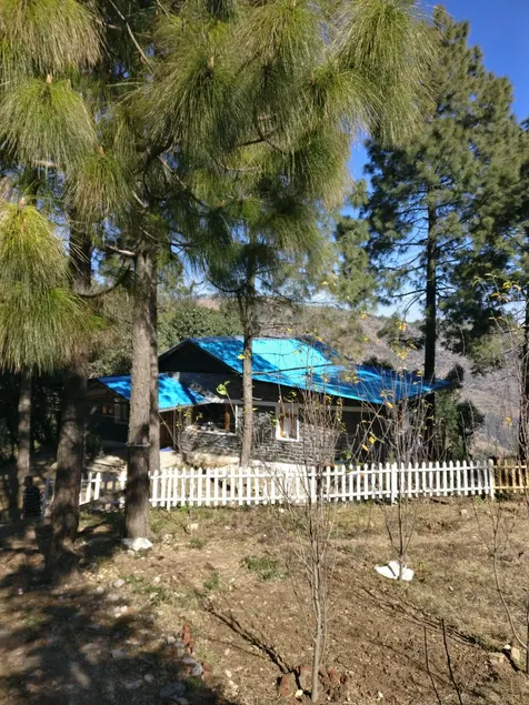 Blue Cottage, near Jim Corbett (2 hrs drive) - Image 1