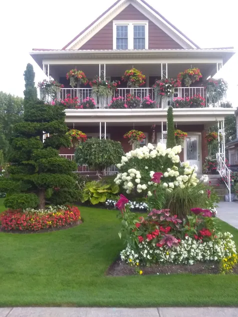 Garden Paradise - Image 1