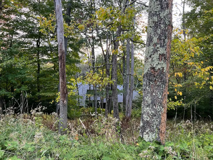 Spacious Mountain Home in the Trees - Image 1