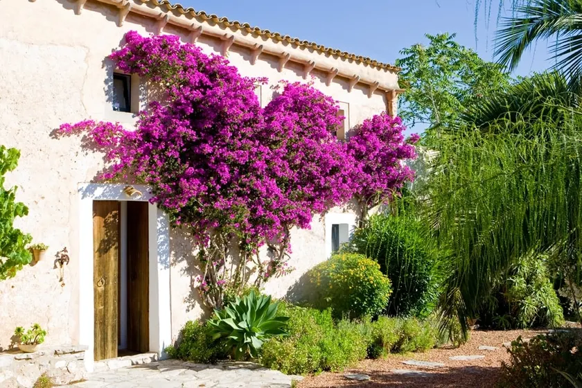 Phantastic quiet VILLA with super views - Image 1