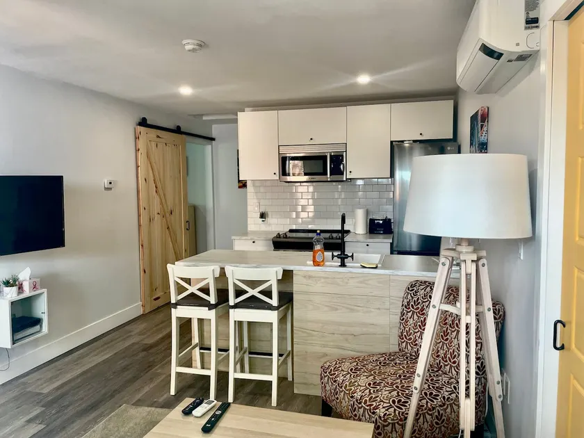 Entire Apartment- Cozy 1Bdrm - Image 1