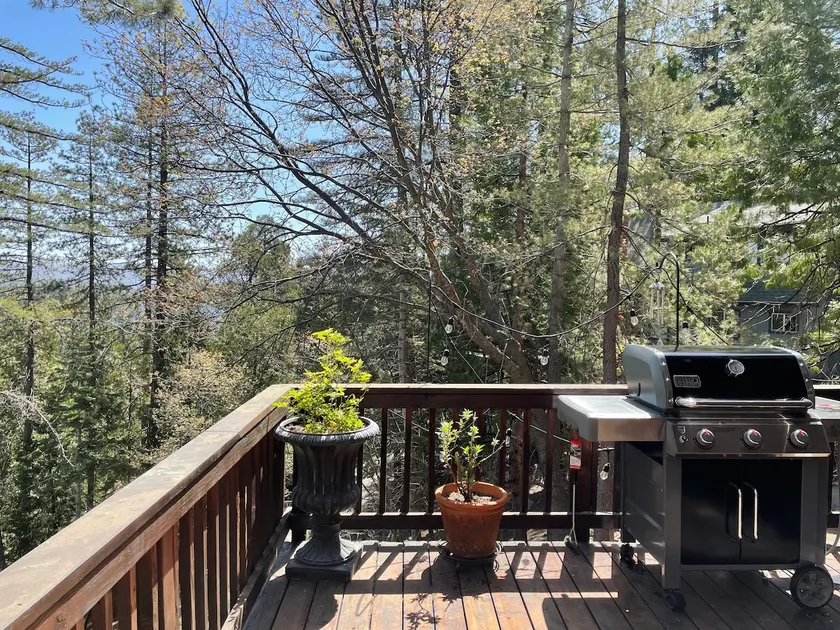 Blue Jay Lake House - Image 1