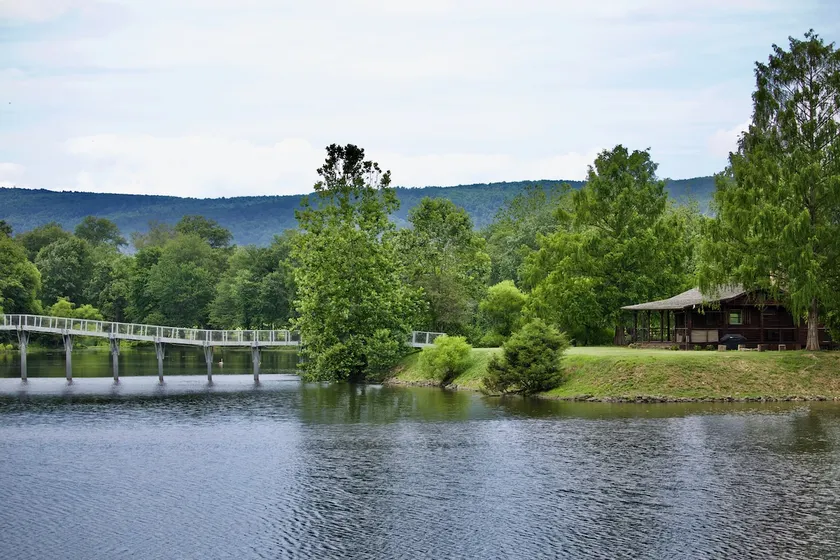 Island cabin - Image 1