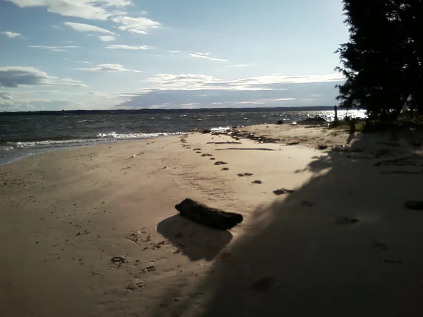 Chesapeake Bay Cottage - Image 1