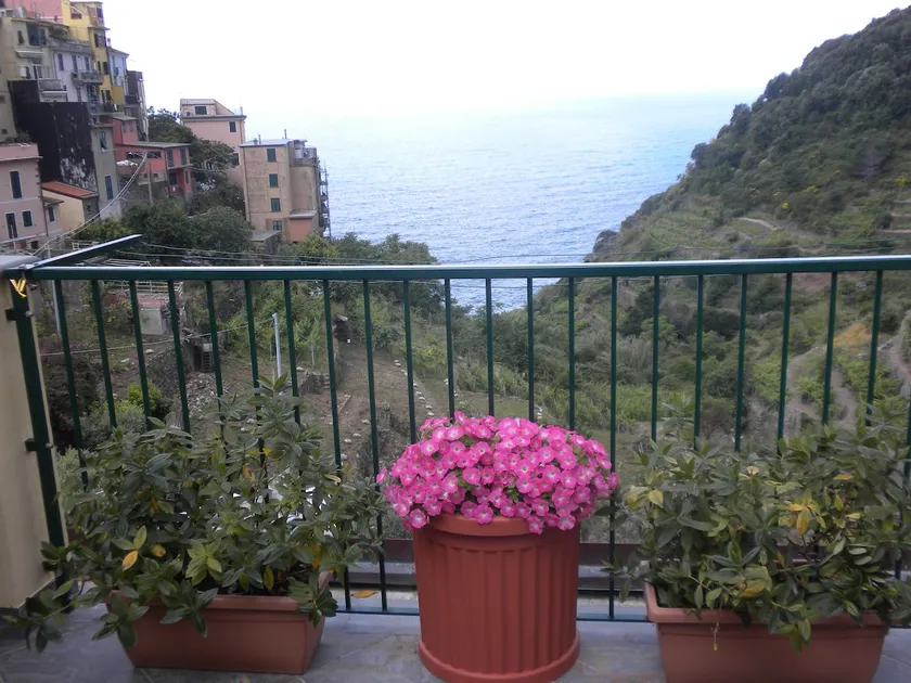 Pele 1 - Sea View - free parking and wifi 5terre - Image 1