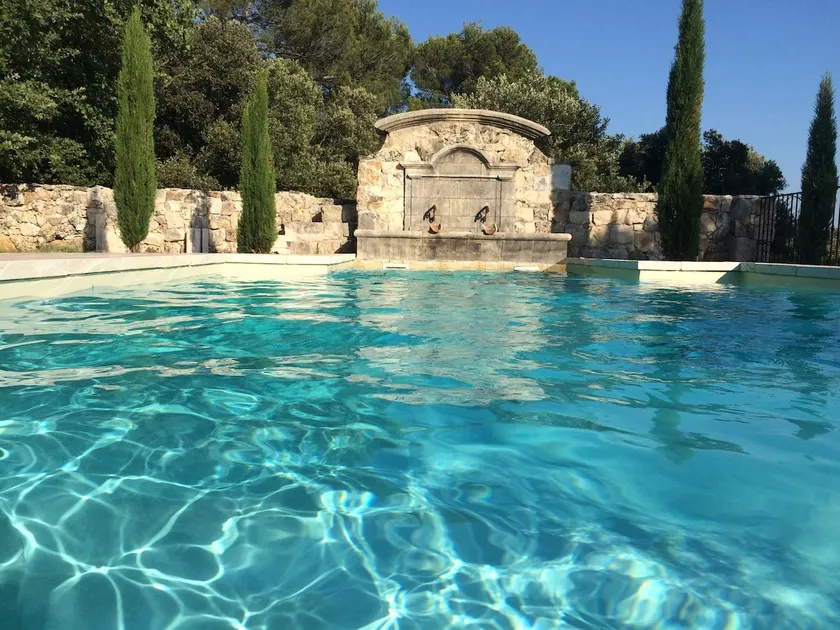 Live in the heart of Provence! 2 x 9 people - Image 1