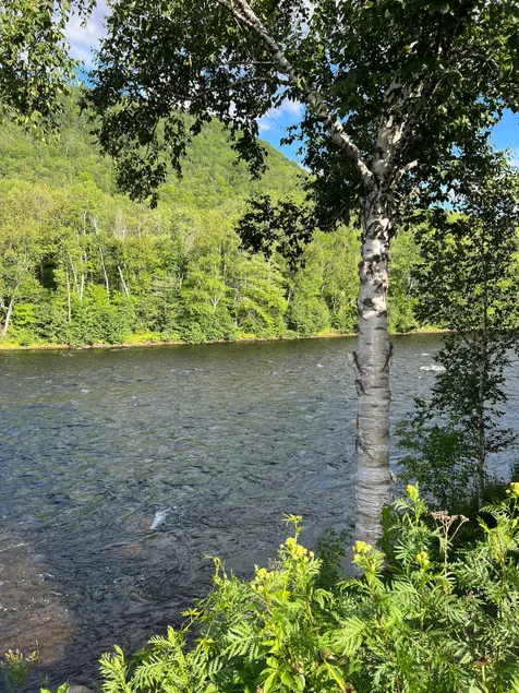Bella's Retreat on the Androscoggin River - Image 1