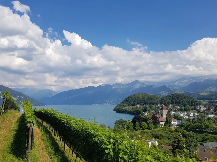 ★Fantastic apartment on the vineyard with lake view★ 128m2 - Image 1