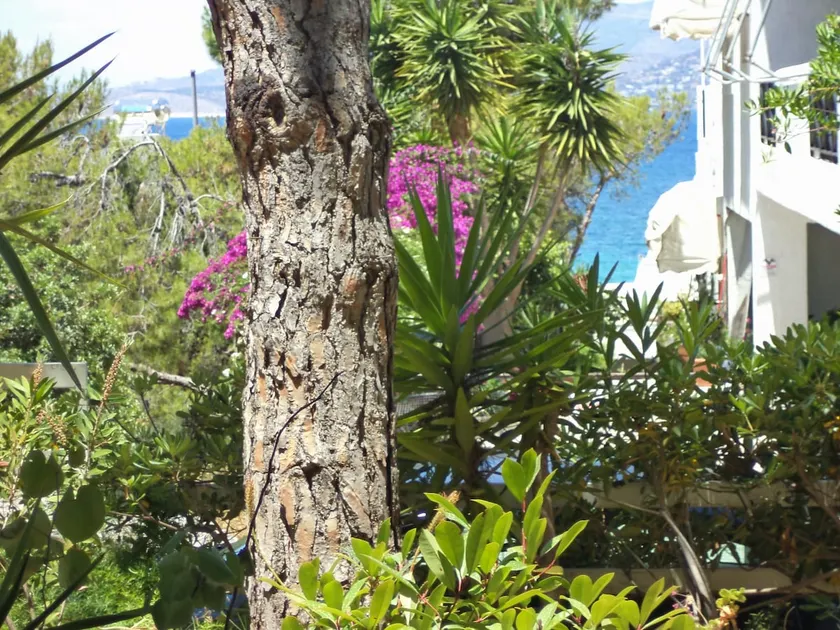 RENTED GROUND FLOOR APARTMENT IN SARONIDA - Image 1