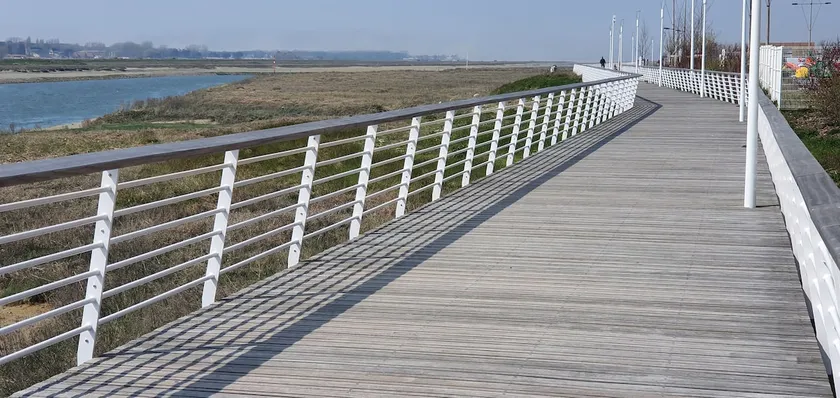 ”Marine roots” in the fishermen's district - Image 1