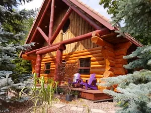 **Getaway**Unique Log Home**Special Memory**Party - Image 1
