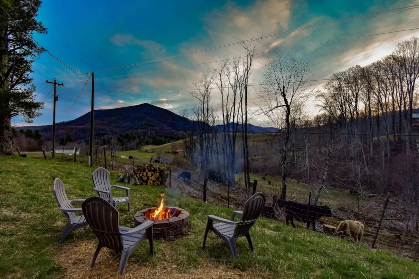 Serene Pine Tree Meadows Cottage w/ Stunning Views - Image 1