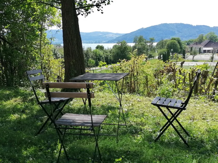 Lake Attersee studio apartment with private garden - Image 1