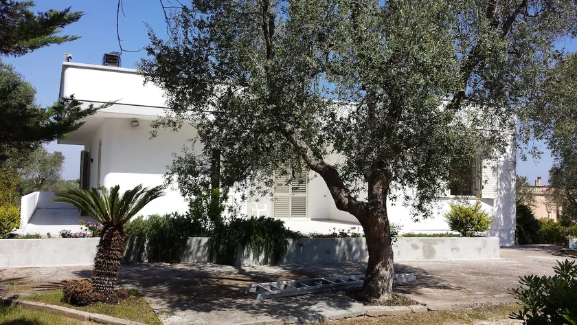 Tenuta Schiauddi - Image 1