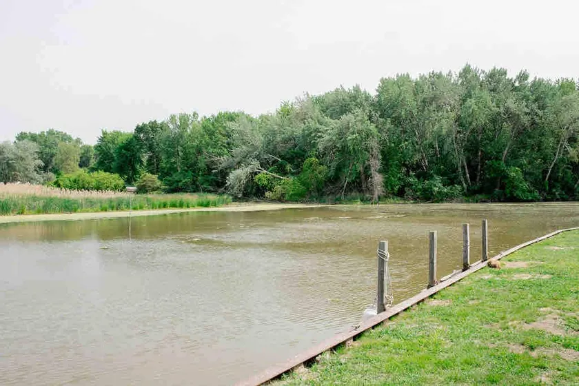 River House - access to Anchor Bay/ Seawall - Image 1