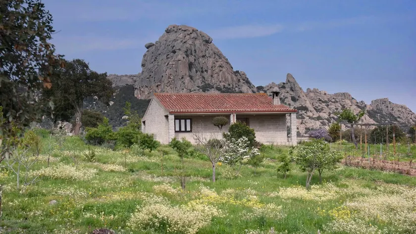 ”The Old Stable” Stazzo Gallurese - Image 1