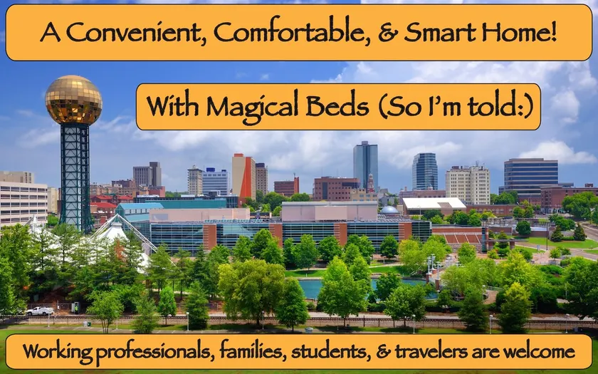 COMFYbeds_FiberWIFI_SmartTech_Yes to Pets - Image 1