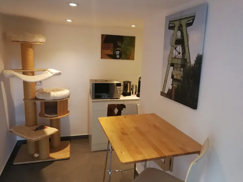 Cozy apartment in the countryside with animals - Image 1