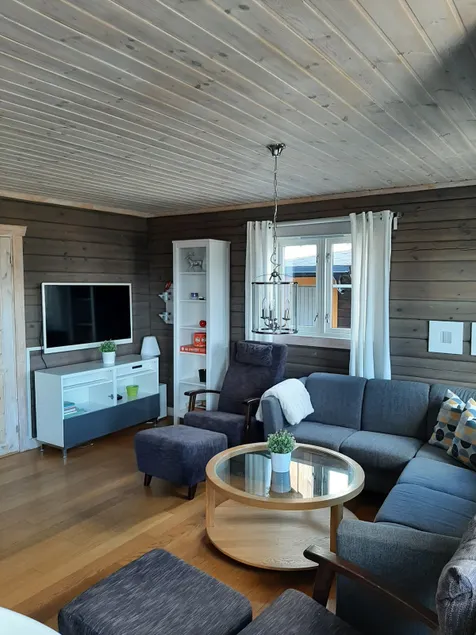 SKI IN/OUT cabin at Kongsberg ski resort/summer activities - Image 1