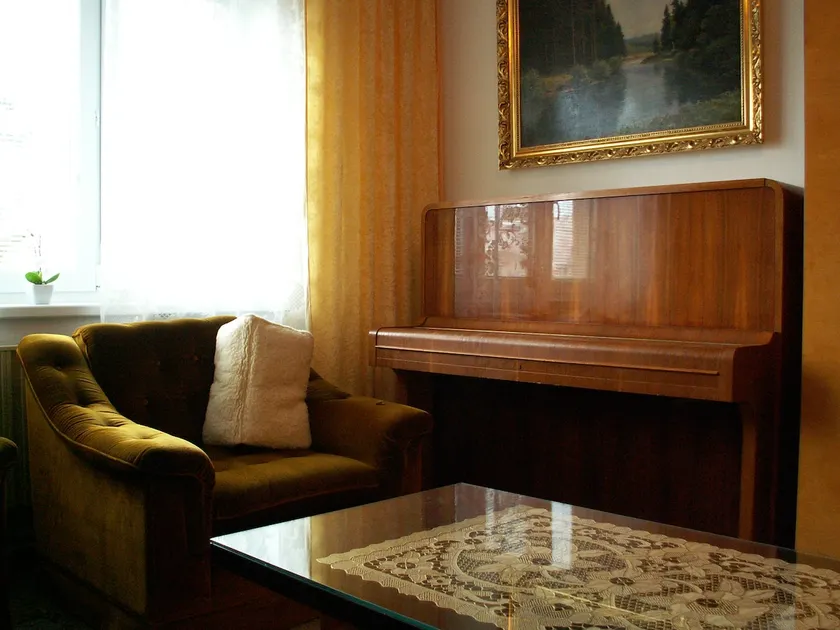 Pleasant apartment in the calm Dvorak street - Image 1