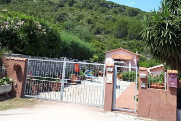 I Limoni - Image 1