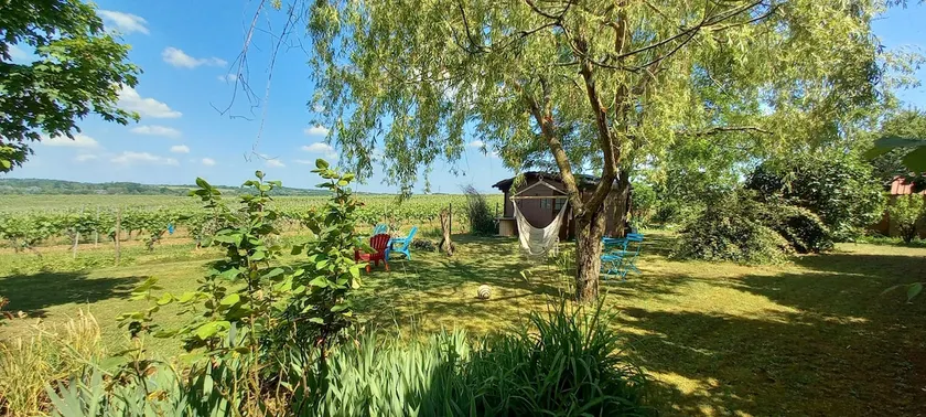 Cozy gîte with garden between vineyards and river - Image 1