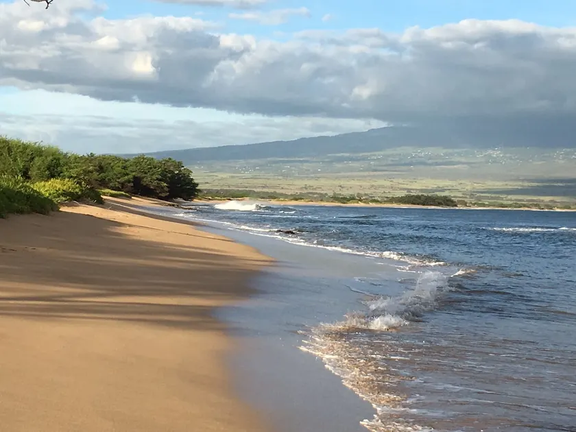 Rare Beachfront Ground floor Oceanview from Lanai! - Image 1