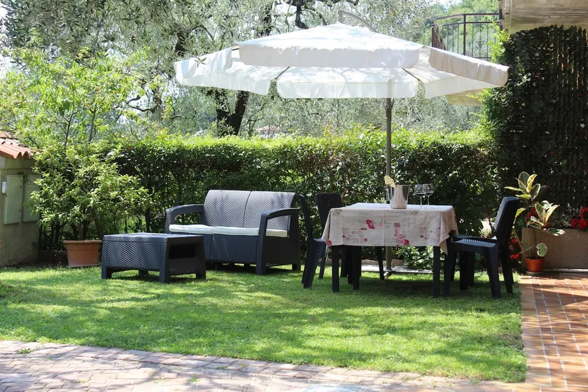 Relax in the Olive Grove - Image 1