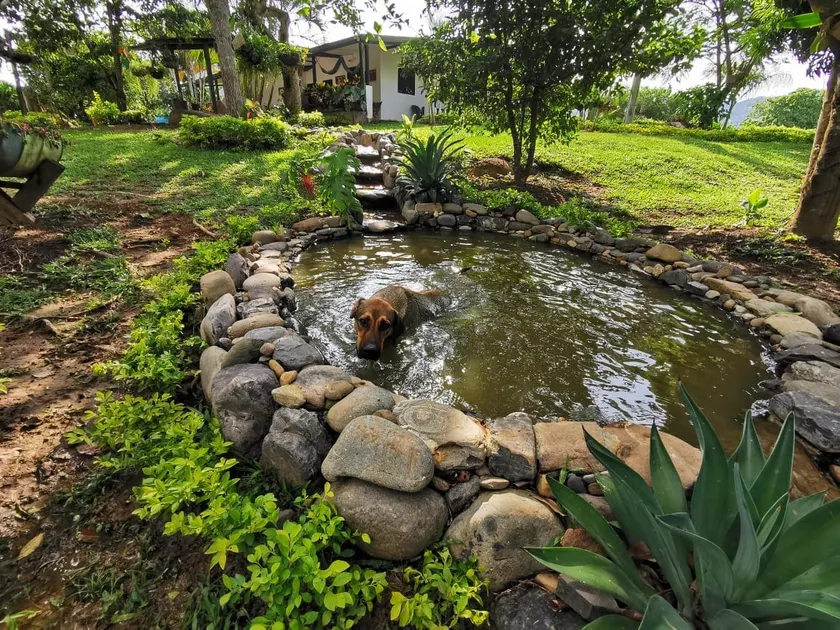 ”La Juliana” Estate - Image 1