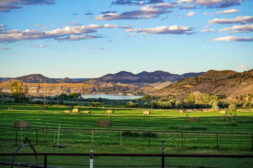 Lake View Horse Ranch - Image 1