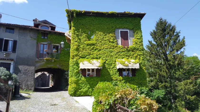 The Ivy House in the Castle - Image 1