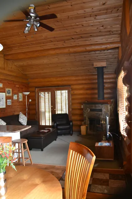 Dream by the fire place in our lovely log home! - Image 1