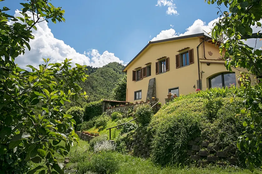 Villa Porcigliano Olive Grove - Image 1