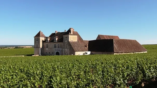 2 steps from a beach, 8 to 10 people, in the heart of Burgundy - Image 1