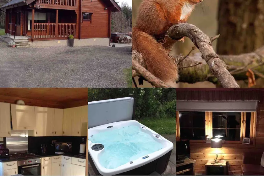 Red Squirrel log cabin with hot tub - Image 1