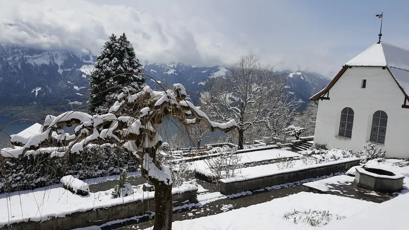 Twin Room with lake view - Image 1