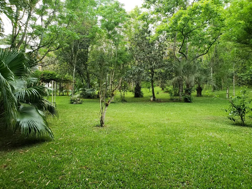 Chácara Guidolin in Ijuí, nature and well-being. - Image 1