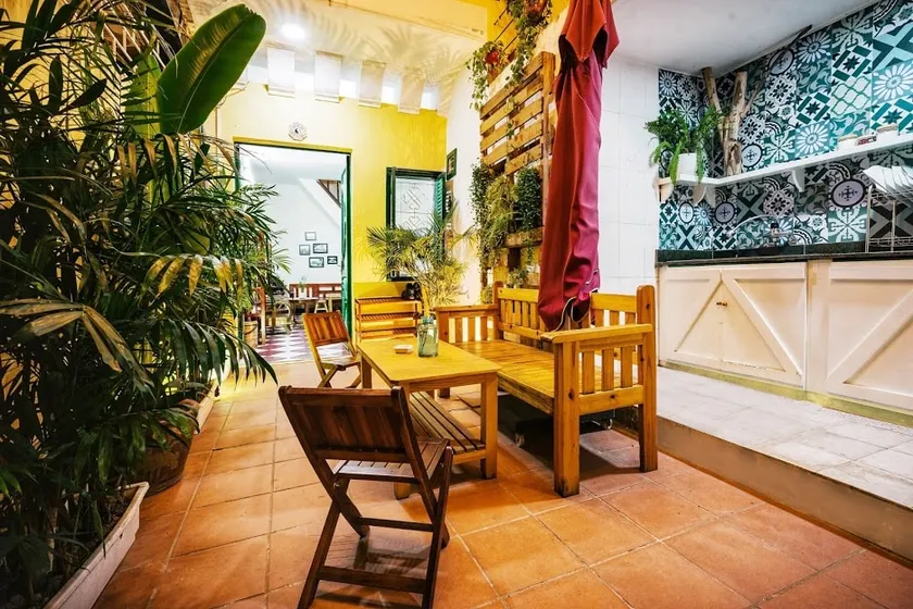 Hidden Jungle - NETFLIX/ Open area/ Airport pickup - Image 1