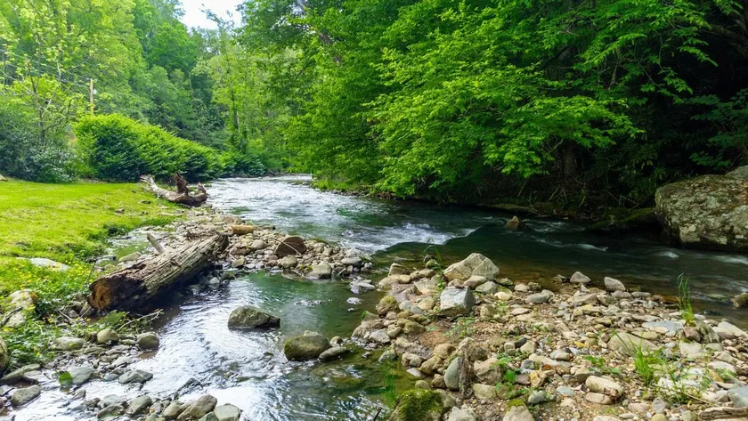 Angel's River HideAway Riverview W/Easy Access - Image 1