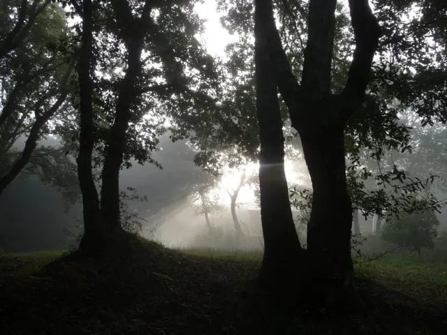 Quinta das Aguias – Peacock Cottage - Image 1